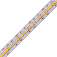 Светодиодная лента LUX class, 3838, 240led/m, white, 24V, 18W/m, IP20, A219