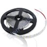 Светодиодная лента Standart PRO class, 5630, 60led/m, day white, 12V, IP20, P306 - фото