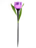 USL-C-651-PT305 TULIP SET 24 Садовый светильник на солнечной батарее Тюльпан, в составе набора из 24 шт, Белый свет, 1xLR аккумулятор в-к, IP44. - фото 5