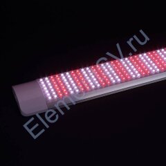 Фитолампа GR15 1200mm (220V, 50W, 840led)
