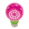 LED-A60-8W-SPSB-E27-CL PLP30GR Лампа светодиодная для растений, Форма A, прозрачная, Спектр для рассады и цветения, Картон, ТМ ФитоЛето - фото 1