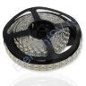 Светодиодная лента Standart PRO class, 5050, 144 led/m, White, 24V, IP20 - фото