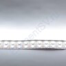 Светодиодная лента Standart PRO class, 5050, 144 led/m, White, 24V, IP20 - фото 3