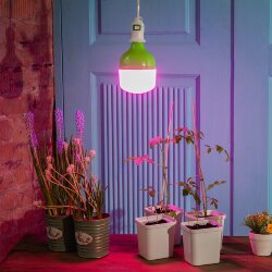 LED-M80-20W-SPSB-E27-FR PLS55GR Лампа светодиодная для растений, IP54, Форма M, матовая, Спектр для рассады и цветения, Картон, TM ФитоЛето